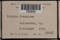 Image Associated With the Occurence